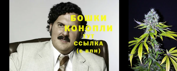 прущая мука Инсар
