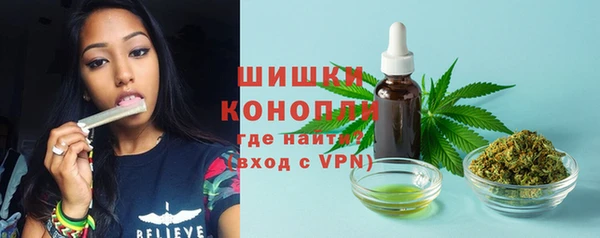 прущая мука Инсар