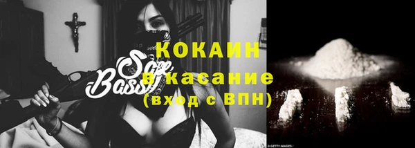 прущая мука Инсар