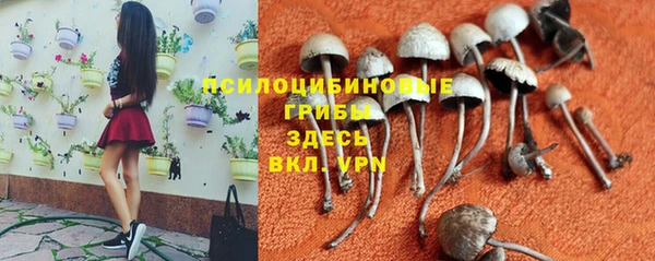 прущий лед Инта