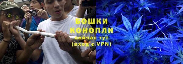 прущая мука Инсар