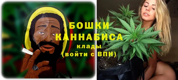 прущая мука Инсар